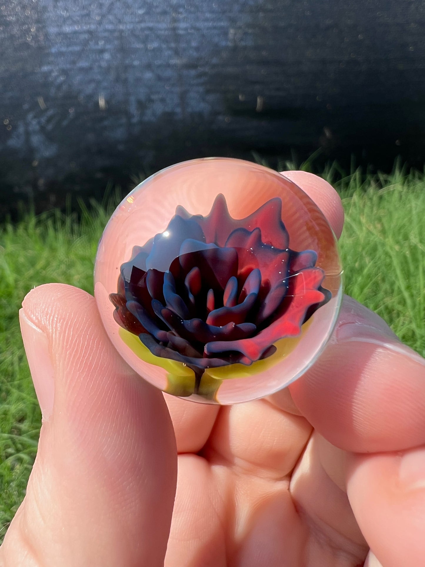 Dark Rose
