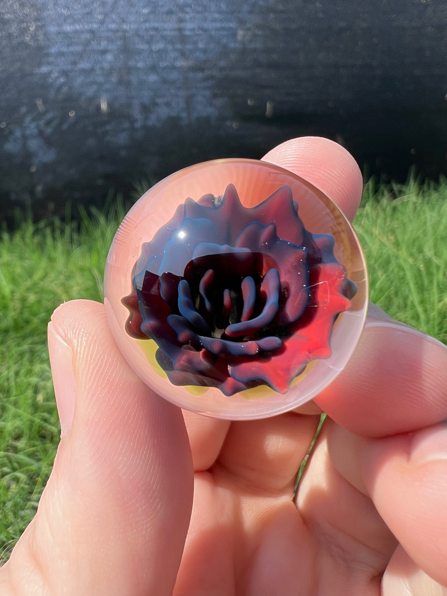 Dark Rose