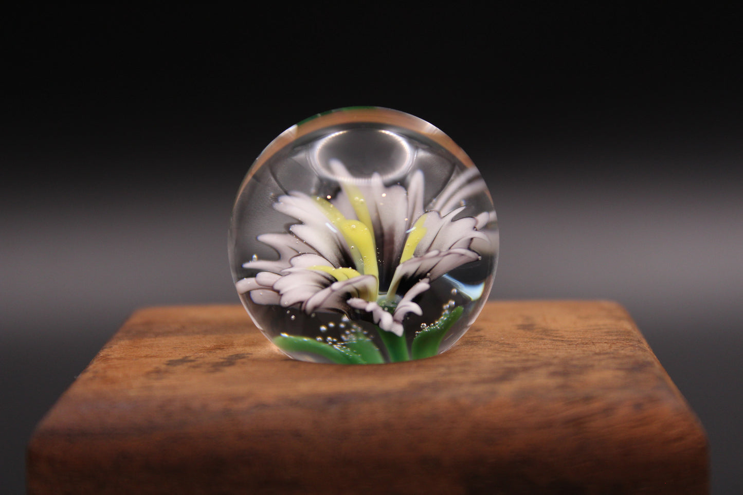 White Lilly